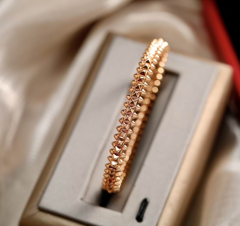 Cartier bracelet 04lyx110 (4)